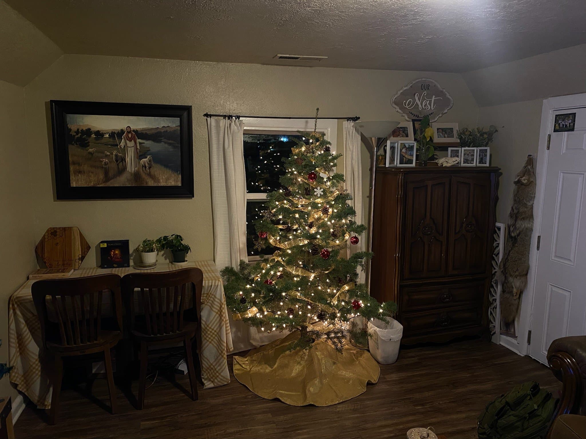 Springville House: 527 Swenson Ave