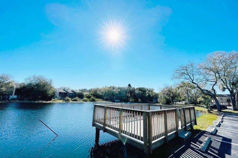 TAMPA Condo: 7009 WATERSIDE DR