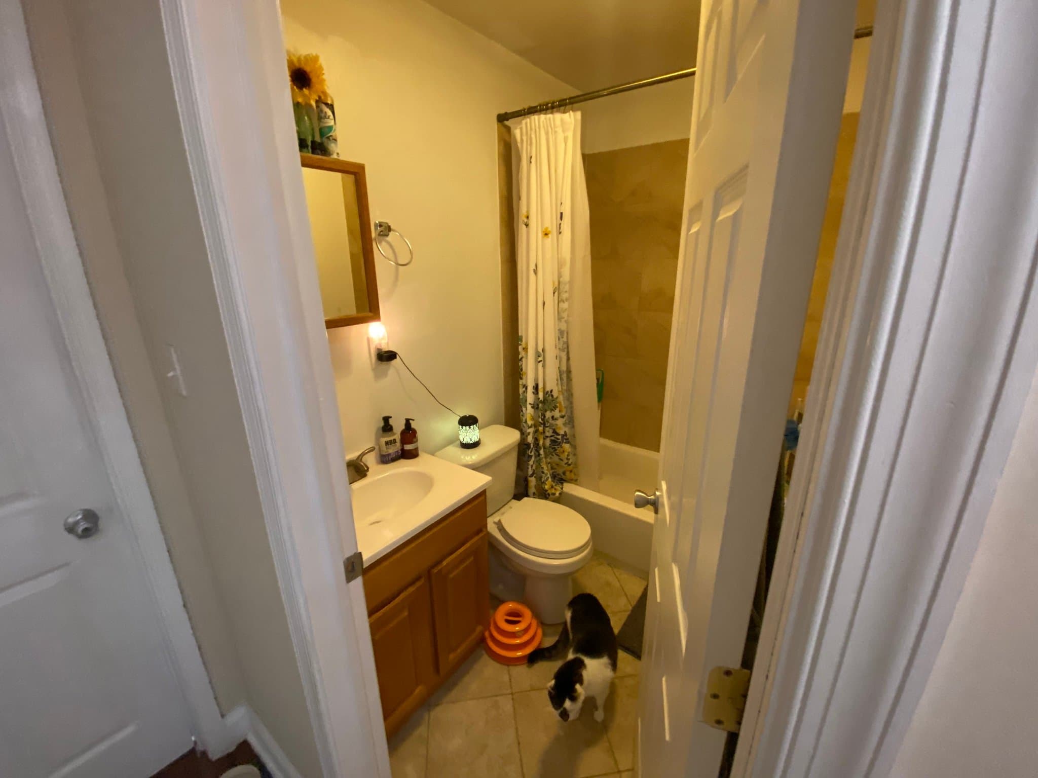 Philadelphia Apartment: 1845 N Bouvier St