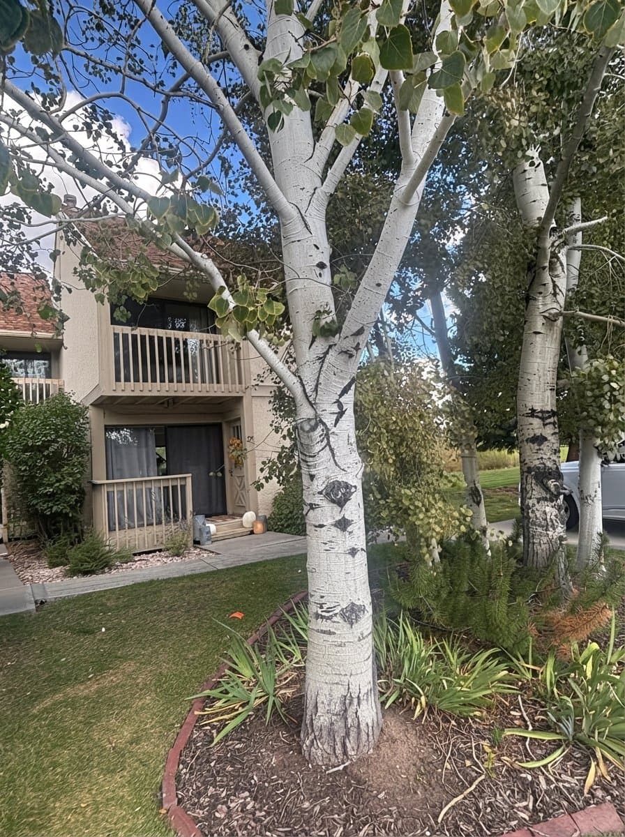 Park City Townhome: 27 Bancroft Ct