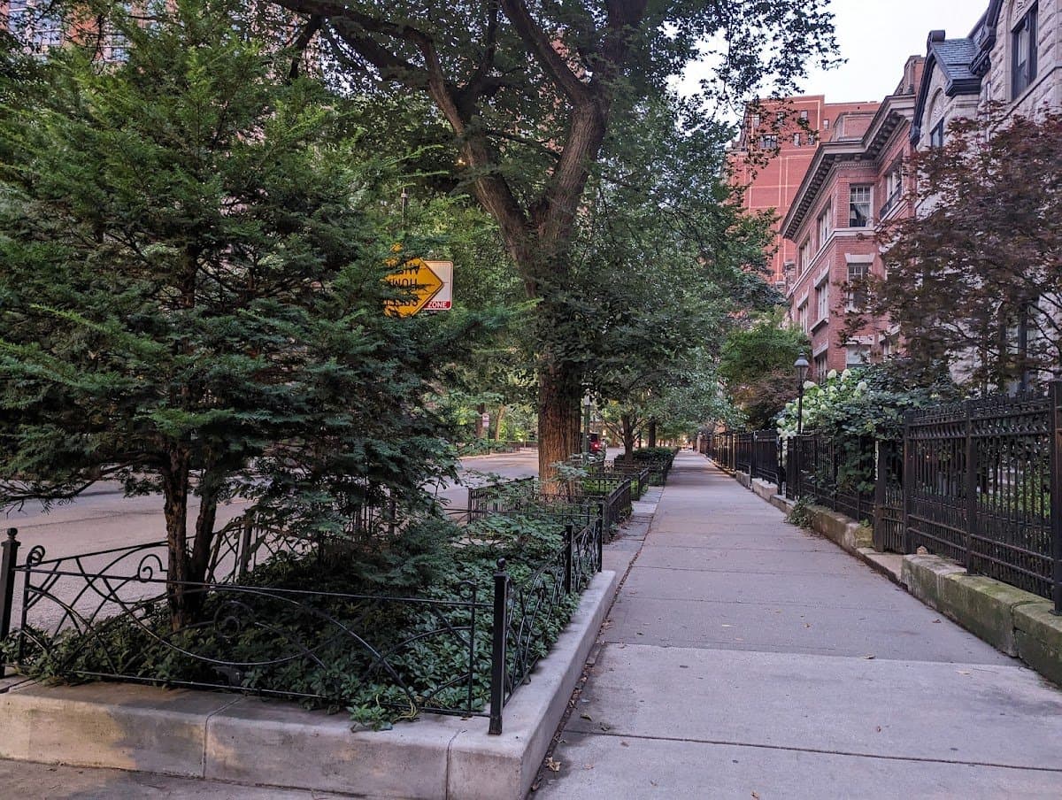 Chicago Condo: 719 W Schiller St