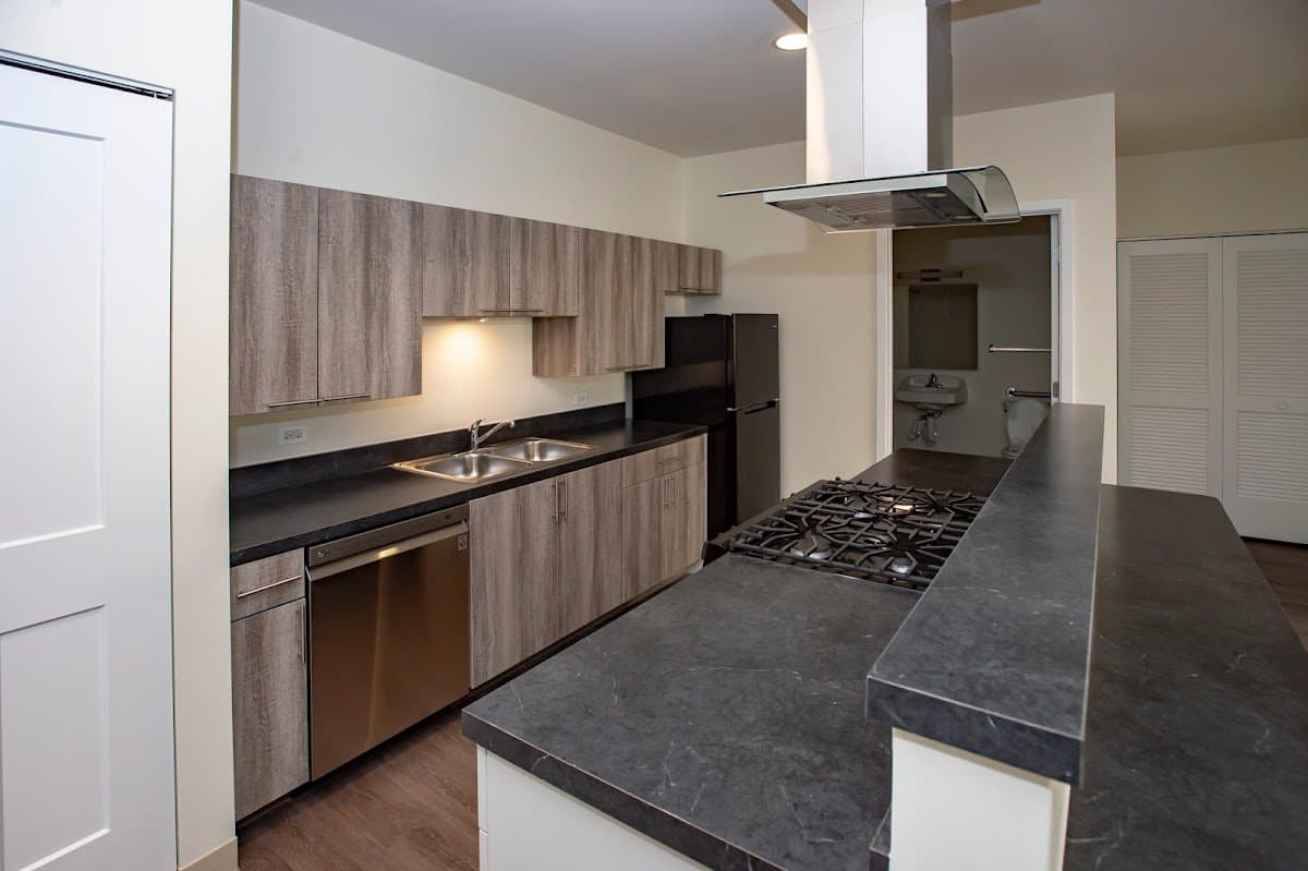 Chicago Condo: 719 W Schiller St