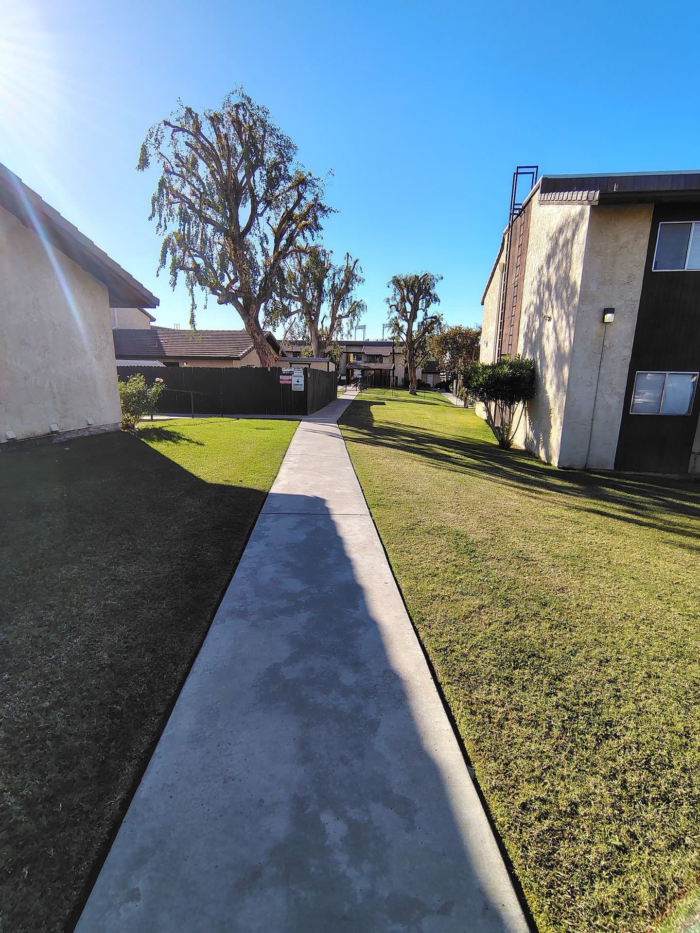Bakersfield Single Room: 2401-013 Christmas Tree Ln