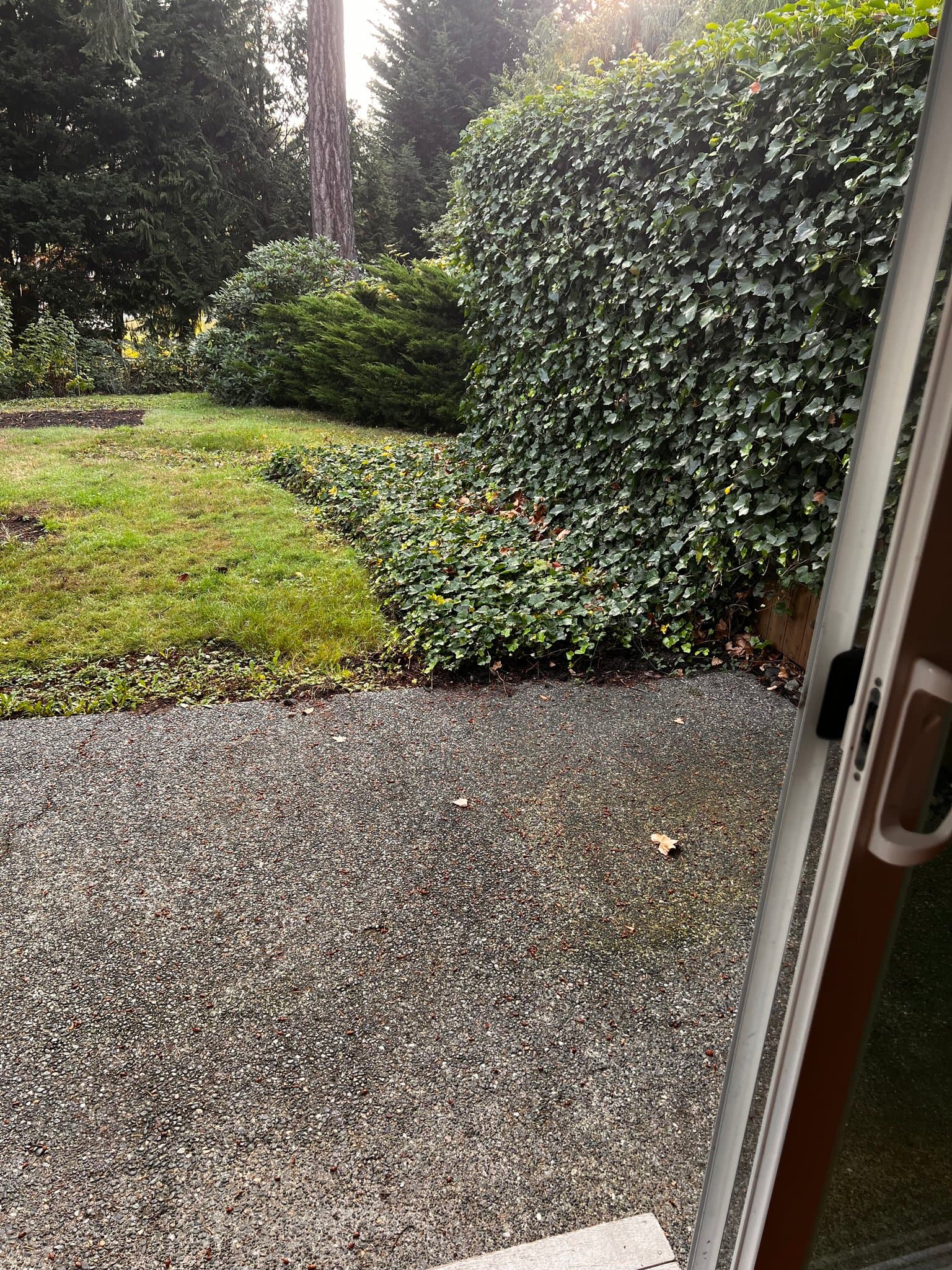 Everett House: 12417 51st
