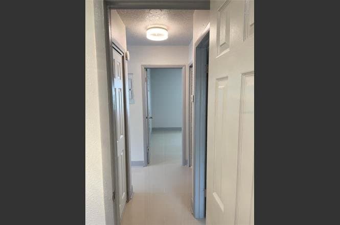 Tampa Apartment: 7919 Lakeshore Drive