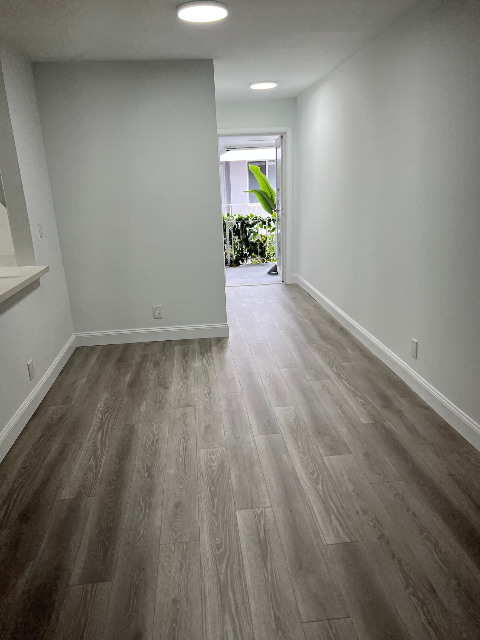 Hollywood Apartment: 1638 Dewey st