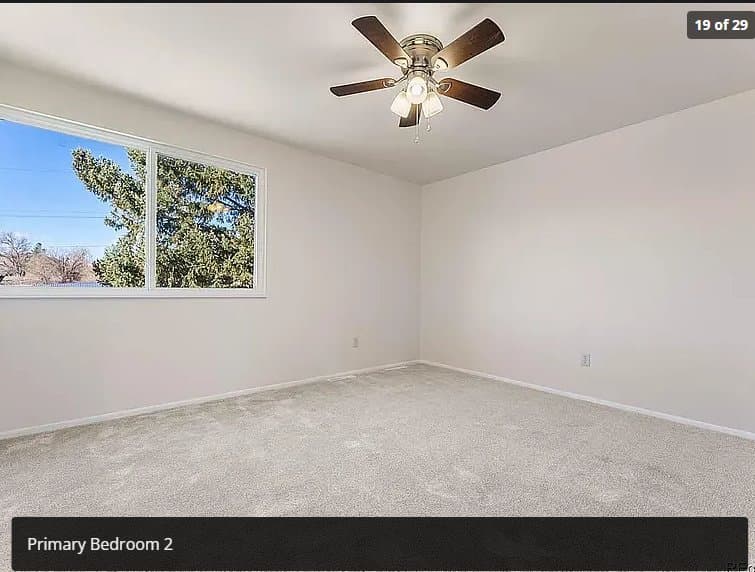Golden Single Room: 1358 Urban St