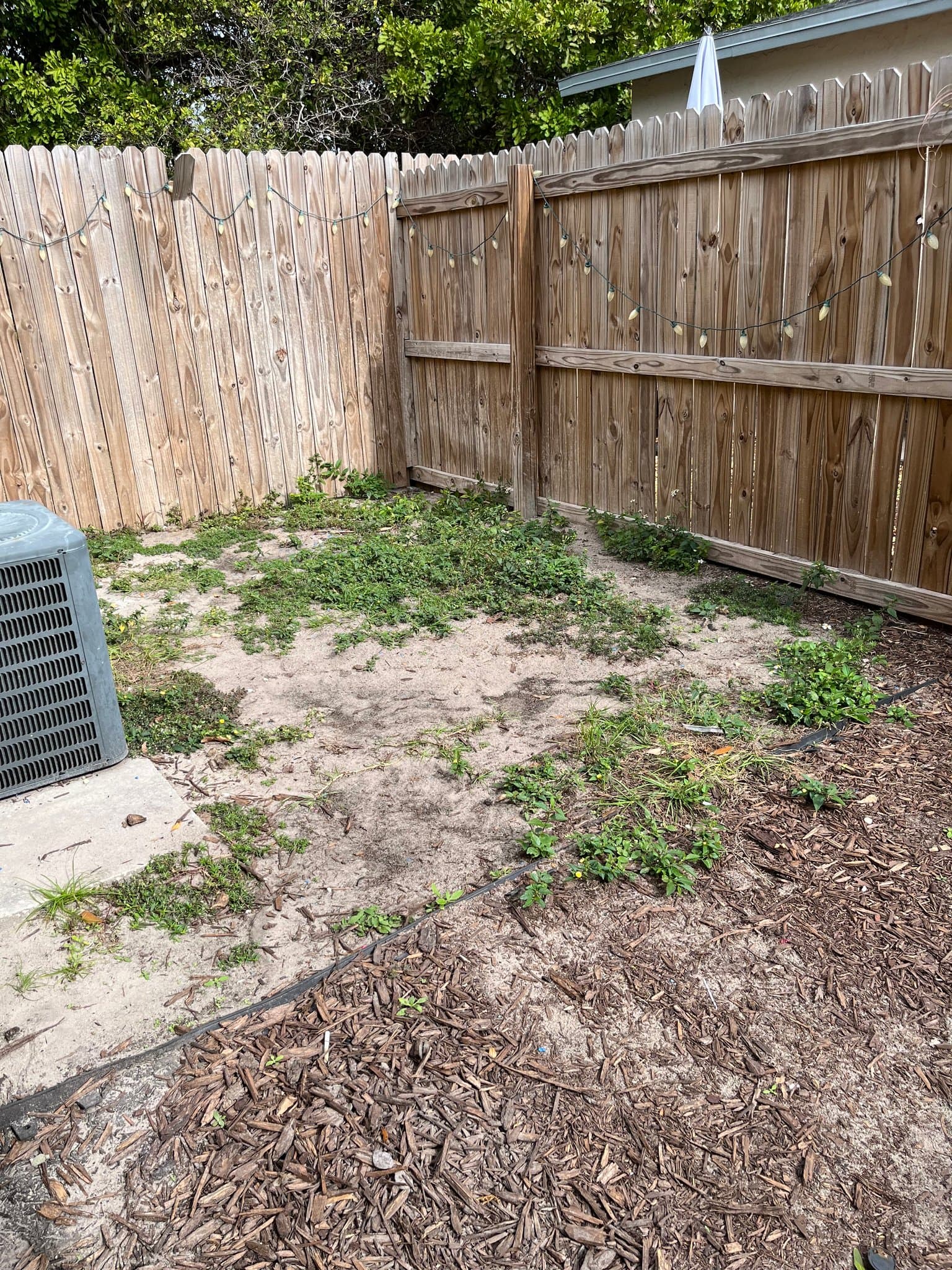 Pinellas Park Multiplex: 3735 66th Avenue N