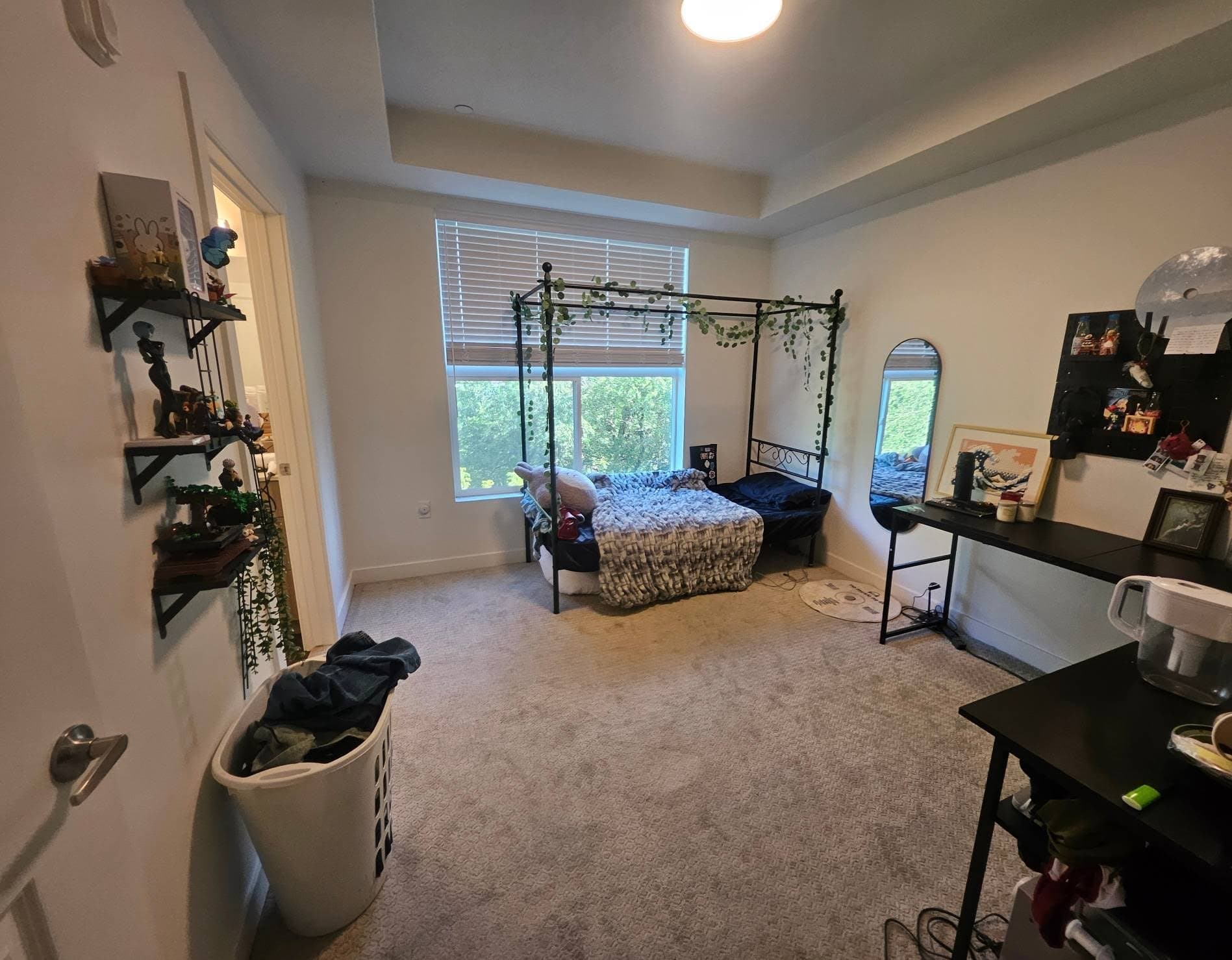 Ogden Single Room: 1895 Wall Ave