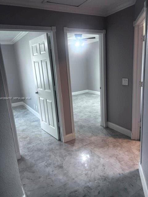 Royal Palm Beach House: 100 Prado st
