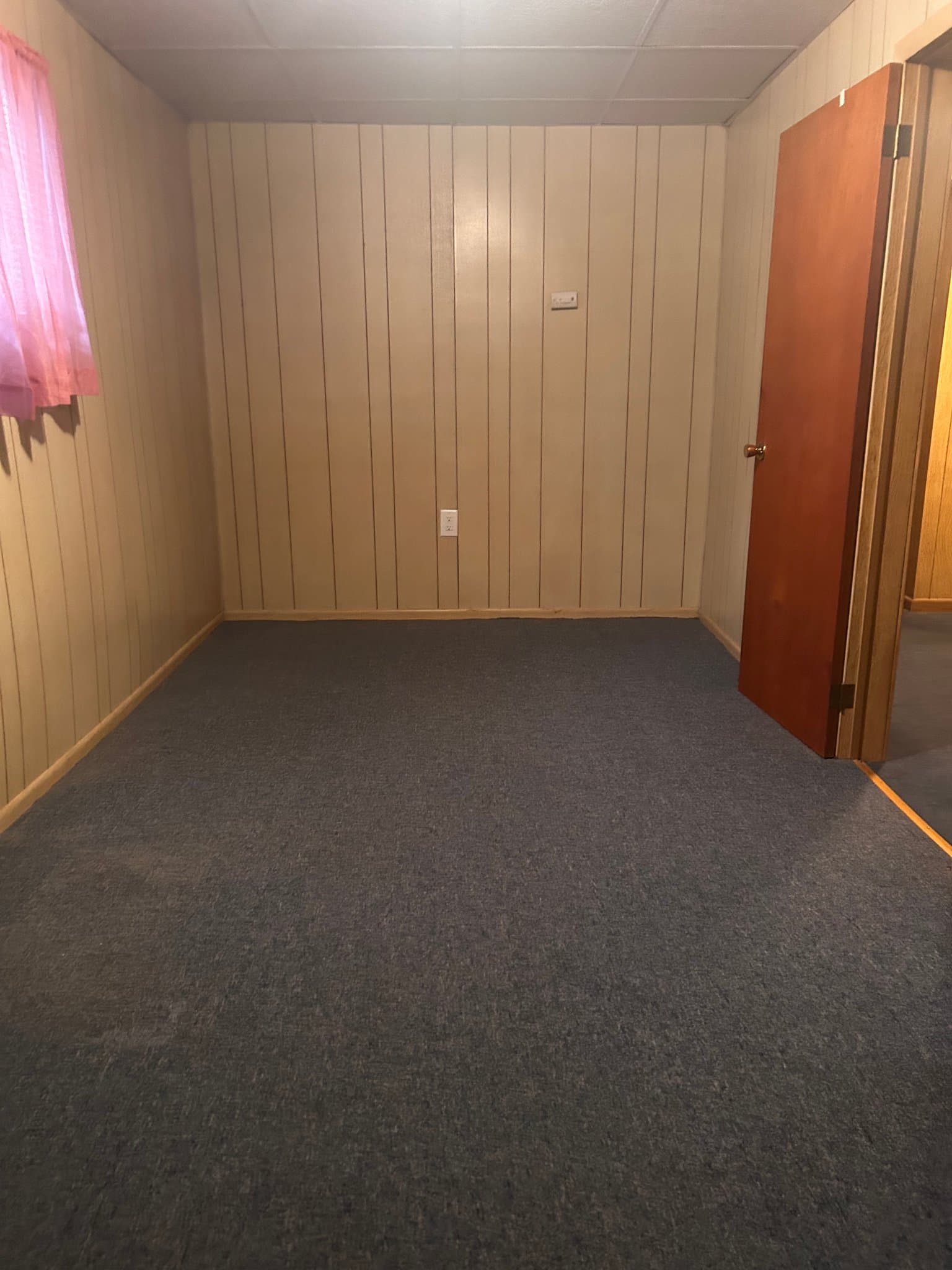 Scranton Multiplex: 1307 Hampton St