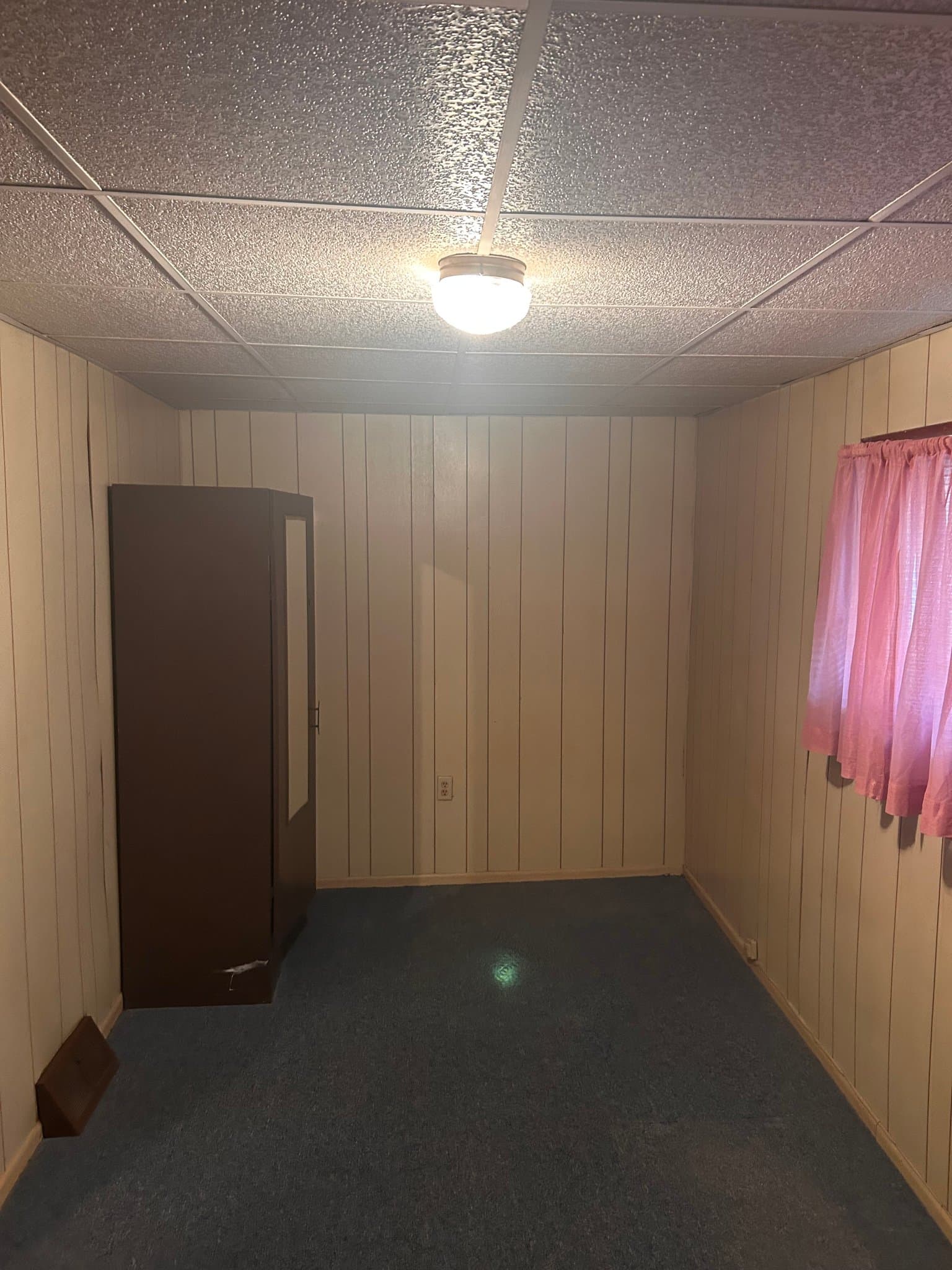 Scranton Multiplex: 1307 Hampton St