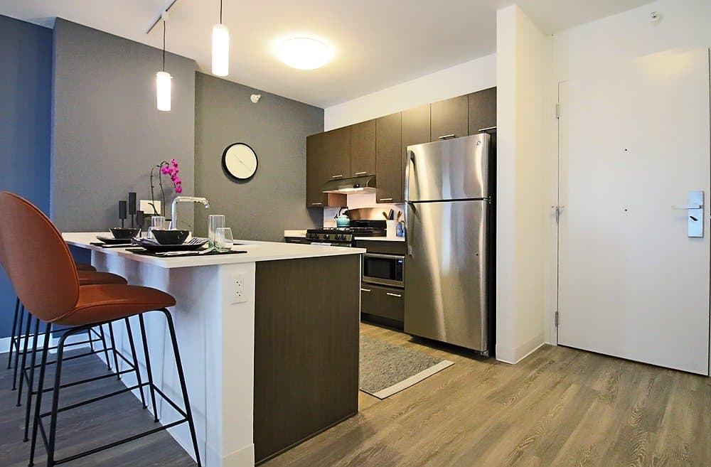 Chicago Condo: 231 N Wells St