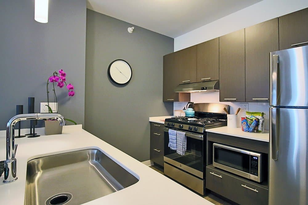Chicago Condo: 231 N Wells St