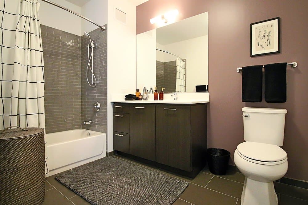 Chicago Condo: 231 N Wells St