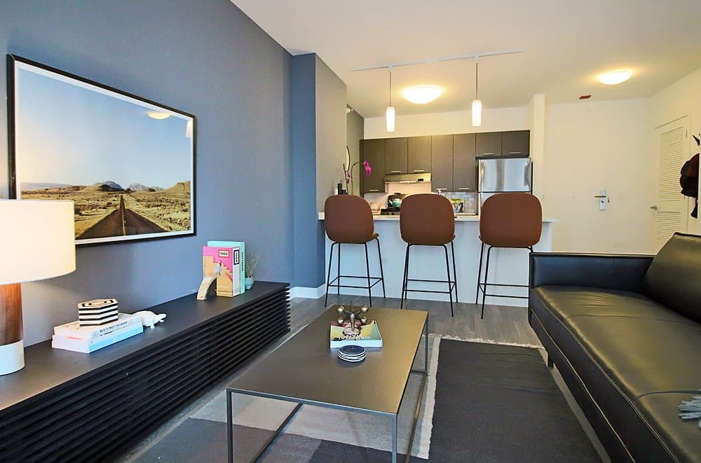 Chicago Condo: 231 N Wells St
