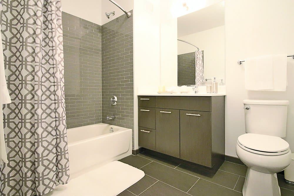 Chicago Condo: 231 N Wells St