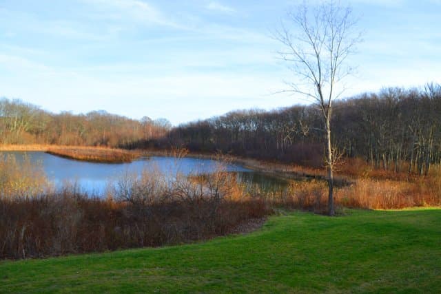 Seekonk Condo: 9 Springhouse Trail