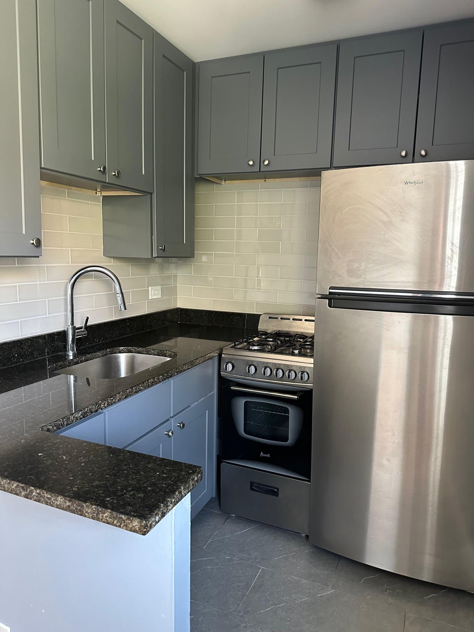 Chicago Apartment: 663 W Grace St