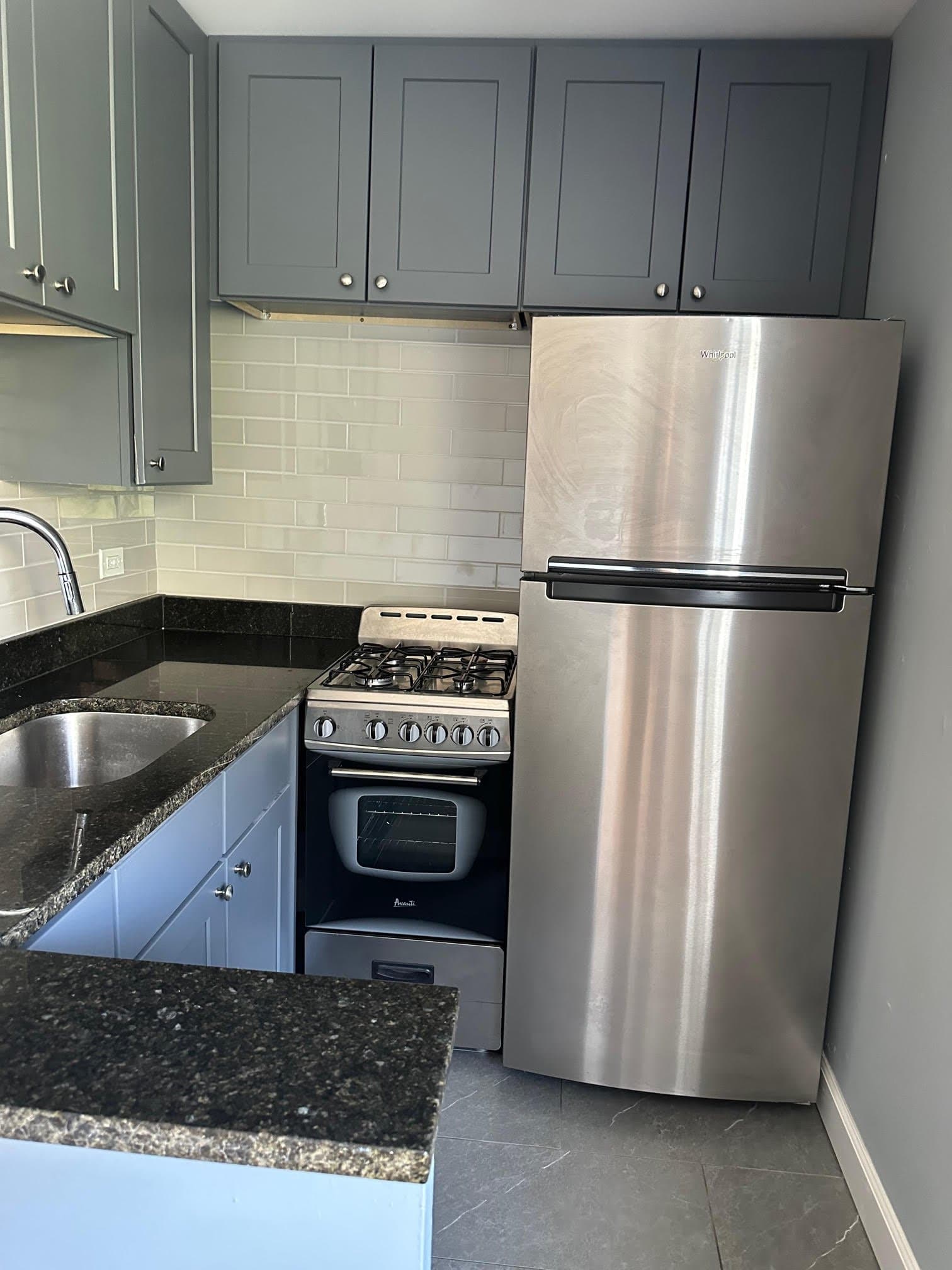 Chicago Apartment: 663 W Grace St