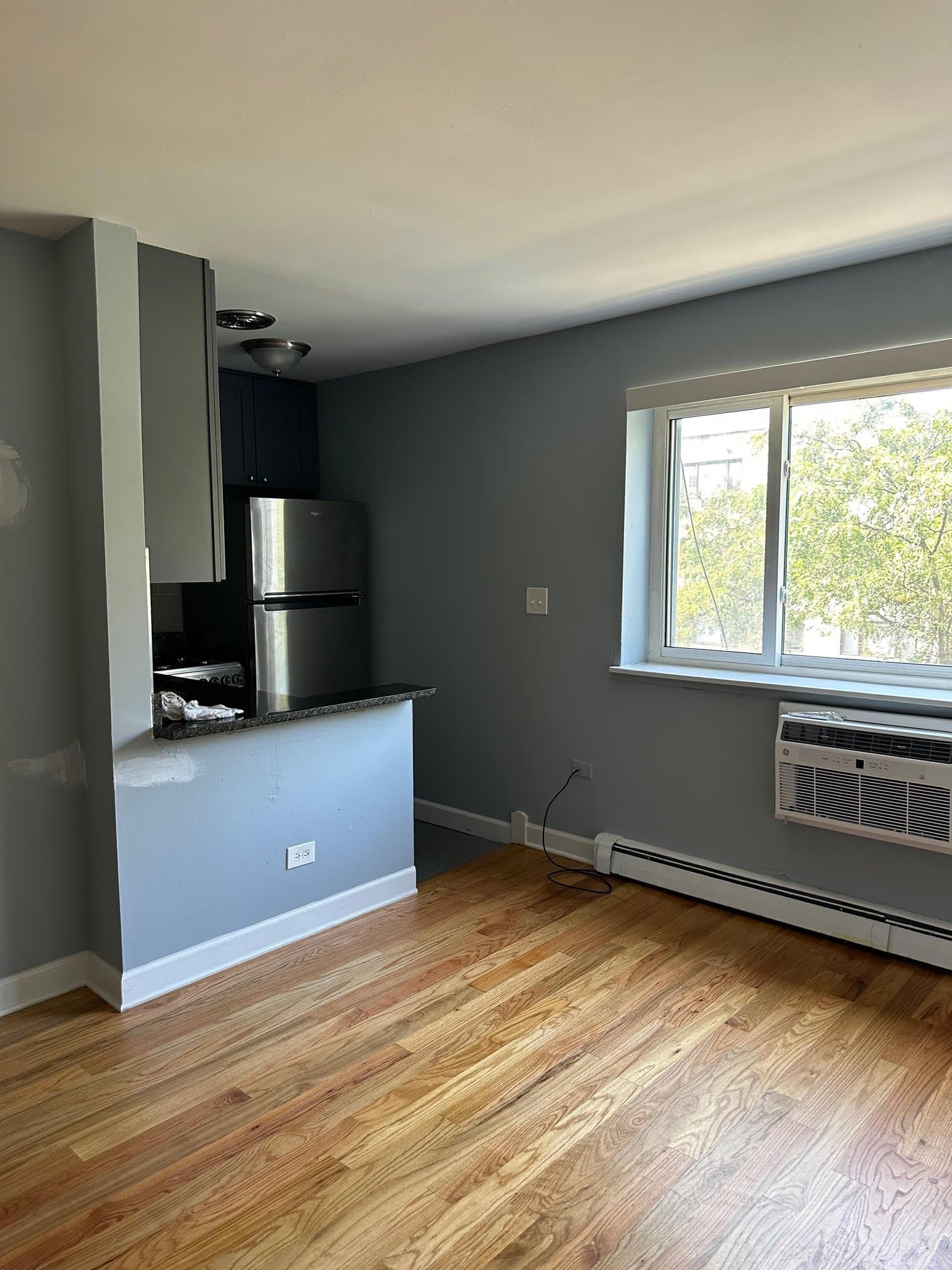 Chicago Apartment: 663 W Grace St