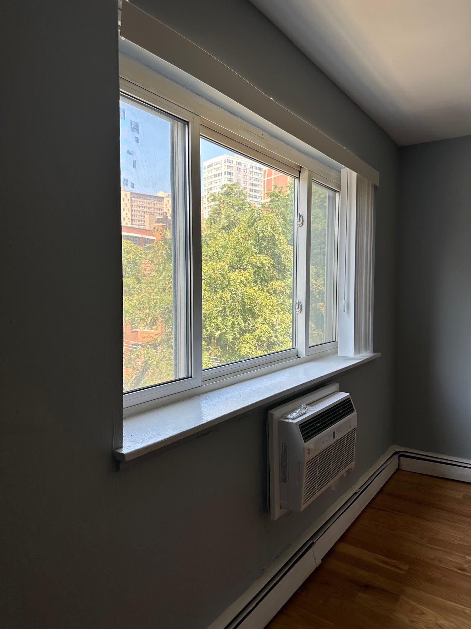 Chicago Apartment: 663 W Grace St