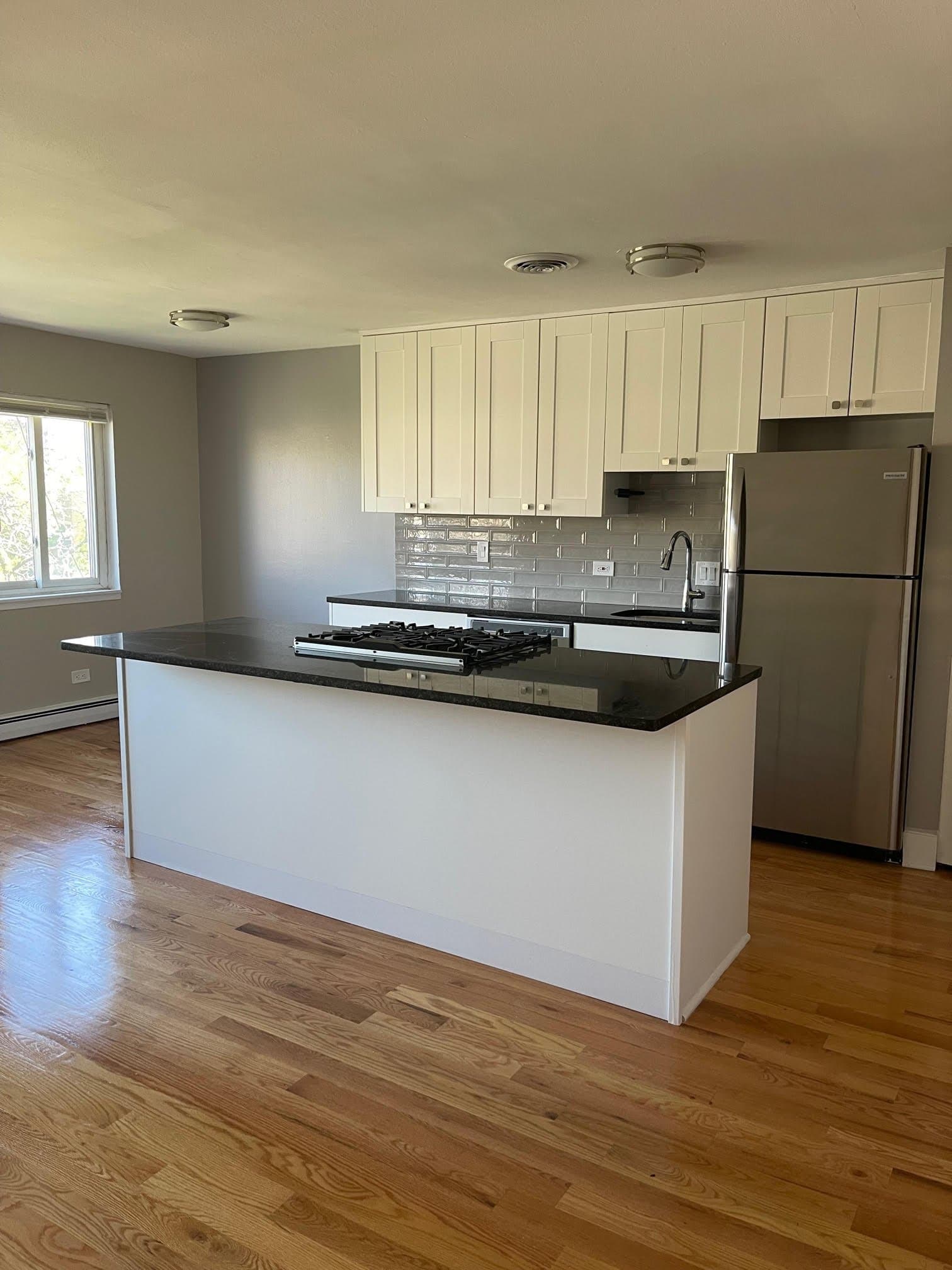 Chicago Apartment: 663 West Grace Street