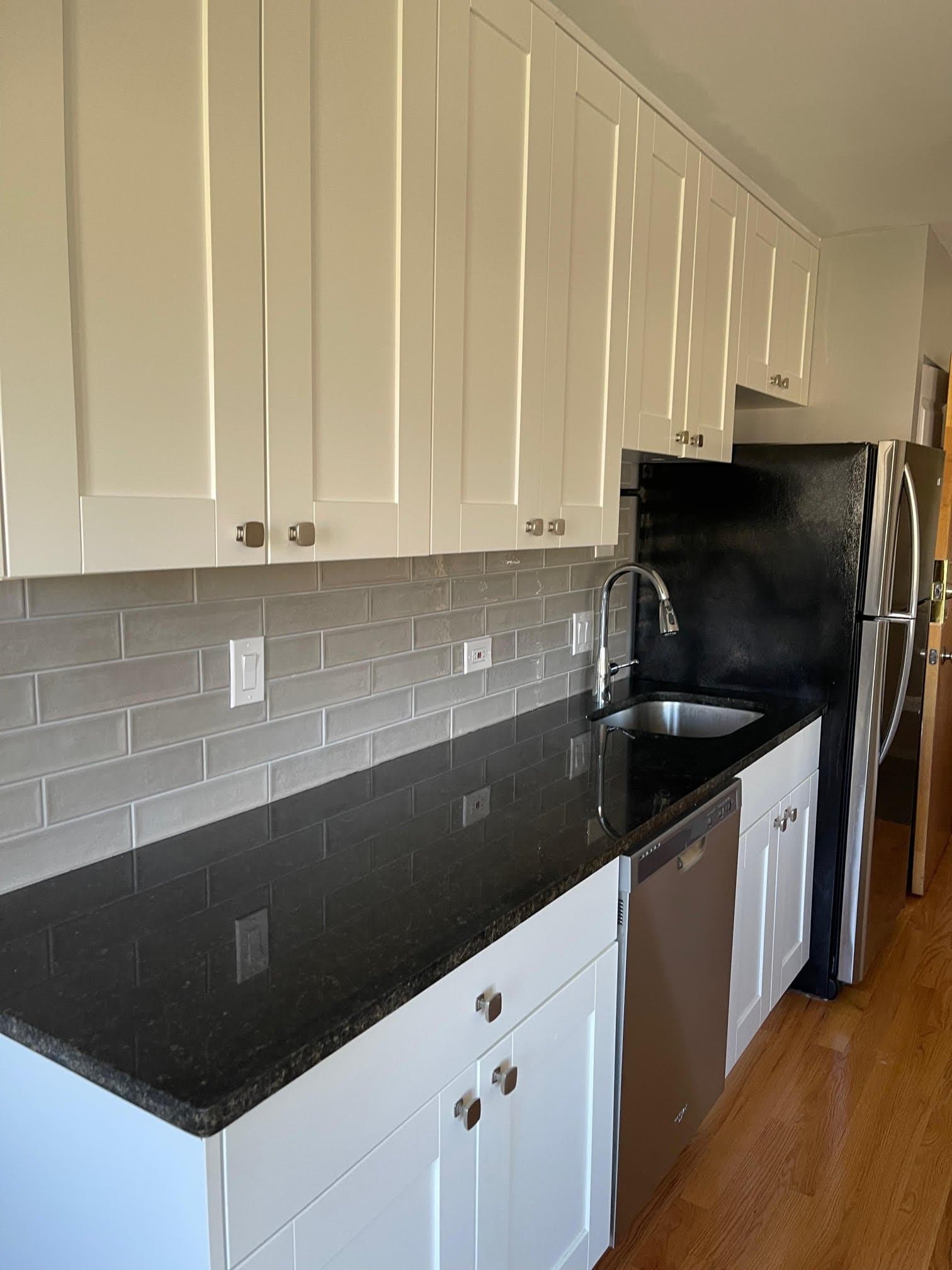Chicago Apartment: 663 West Grace Street
