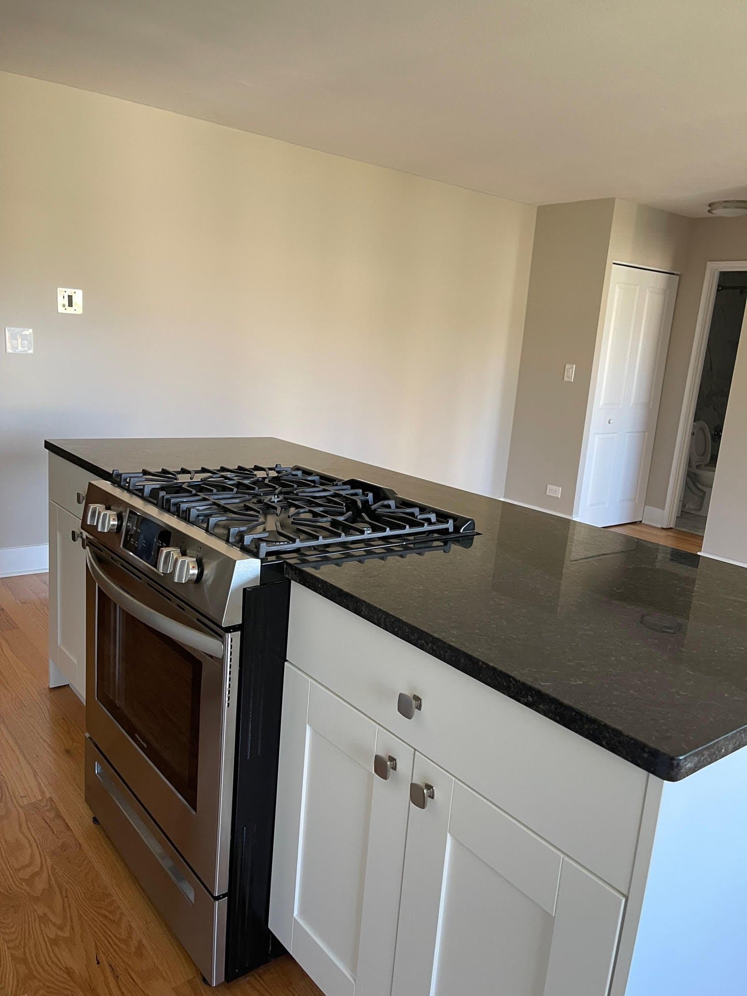 Chicago Apartment: 663 West Grace Street
