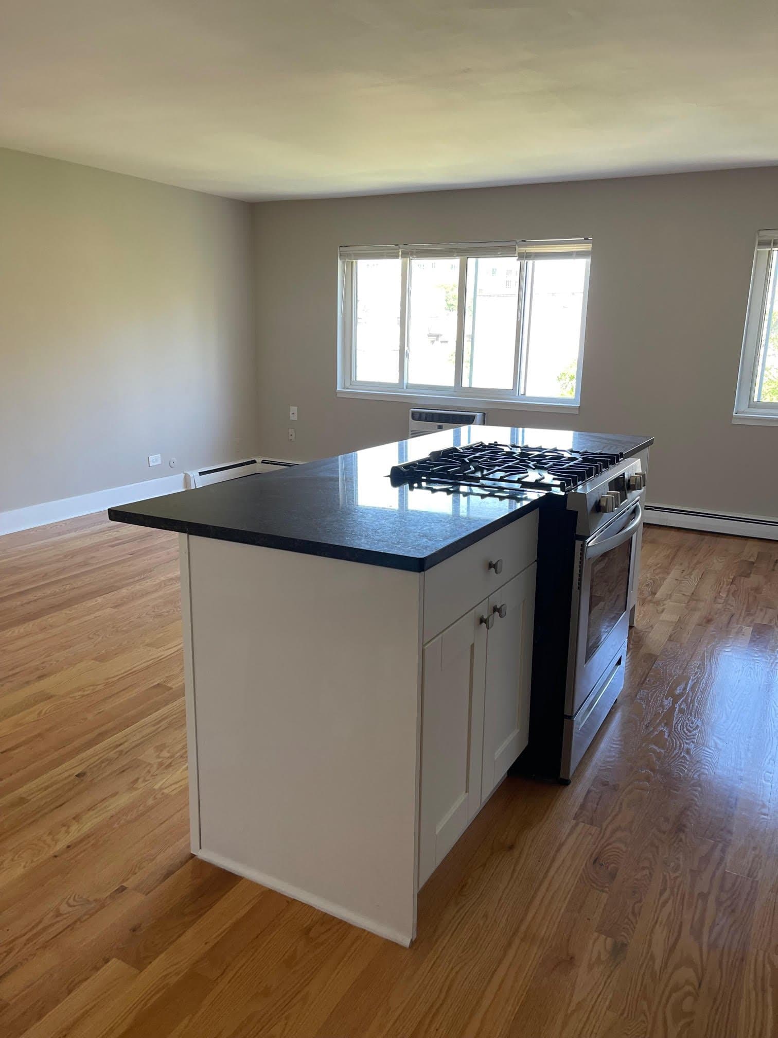 Chicago Apartment: 663 West Grace Street
