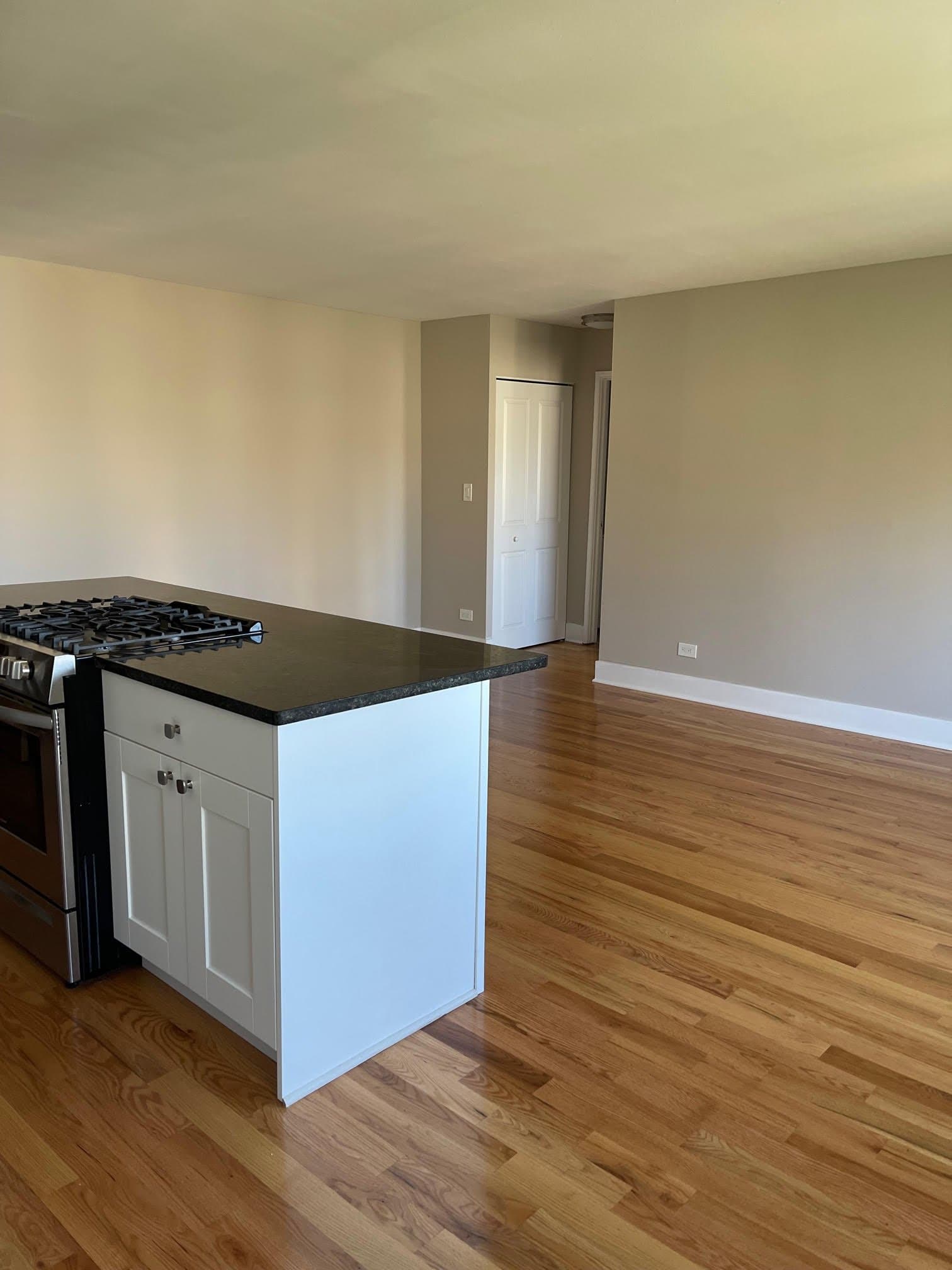 Chicago Apartment: 663 West Grace Street