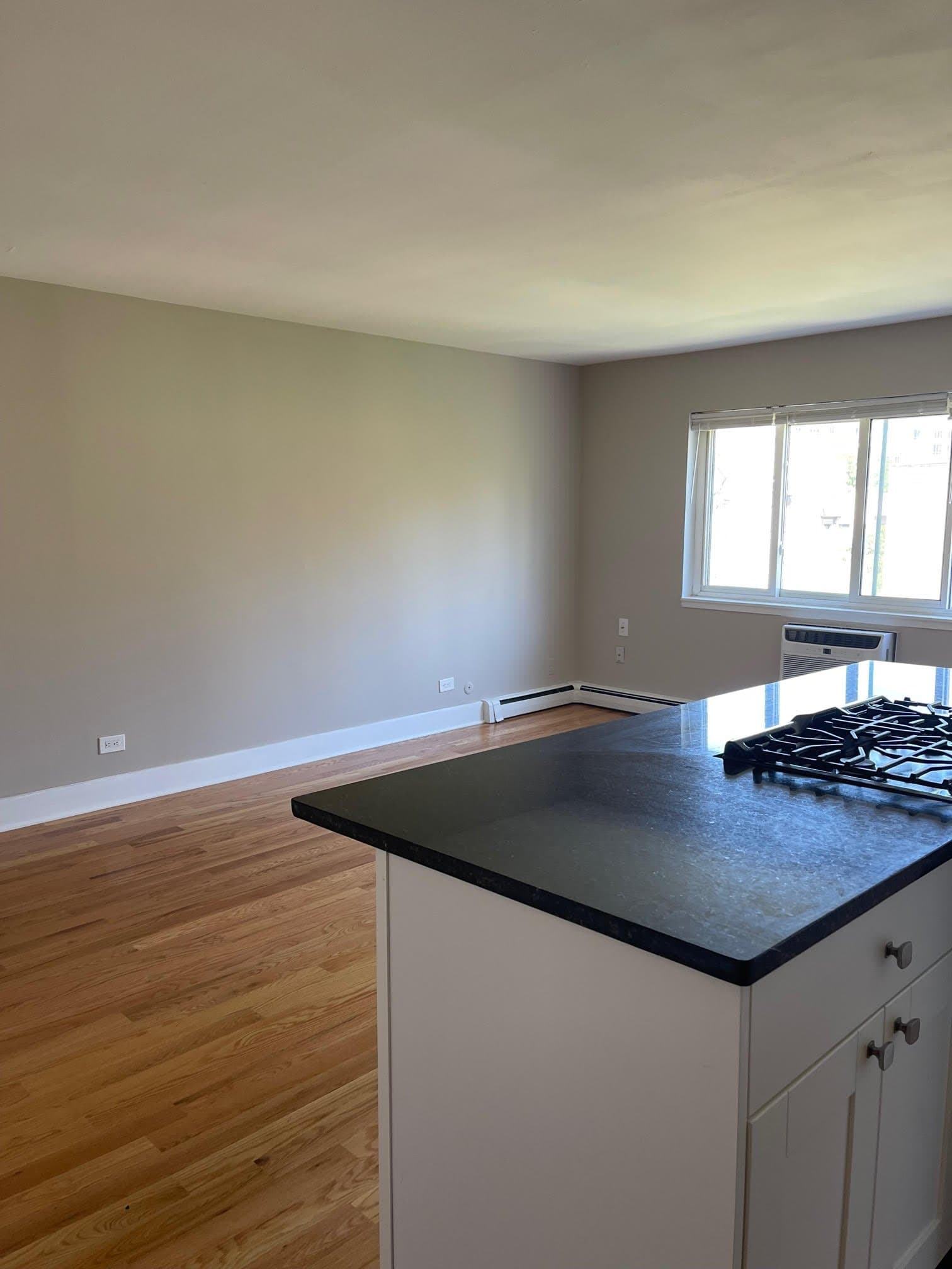 Chicago Apartment: 663 West Grace Street