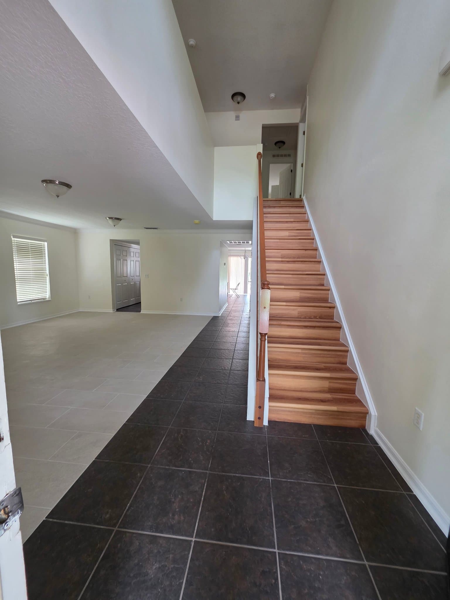 Port Orange House: 3830 Sunset Cove Dr