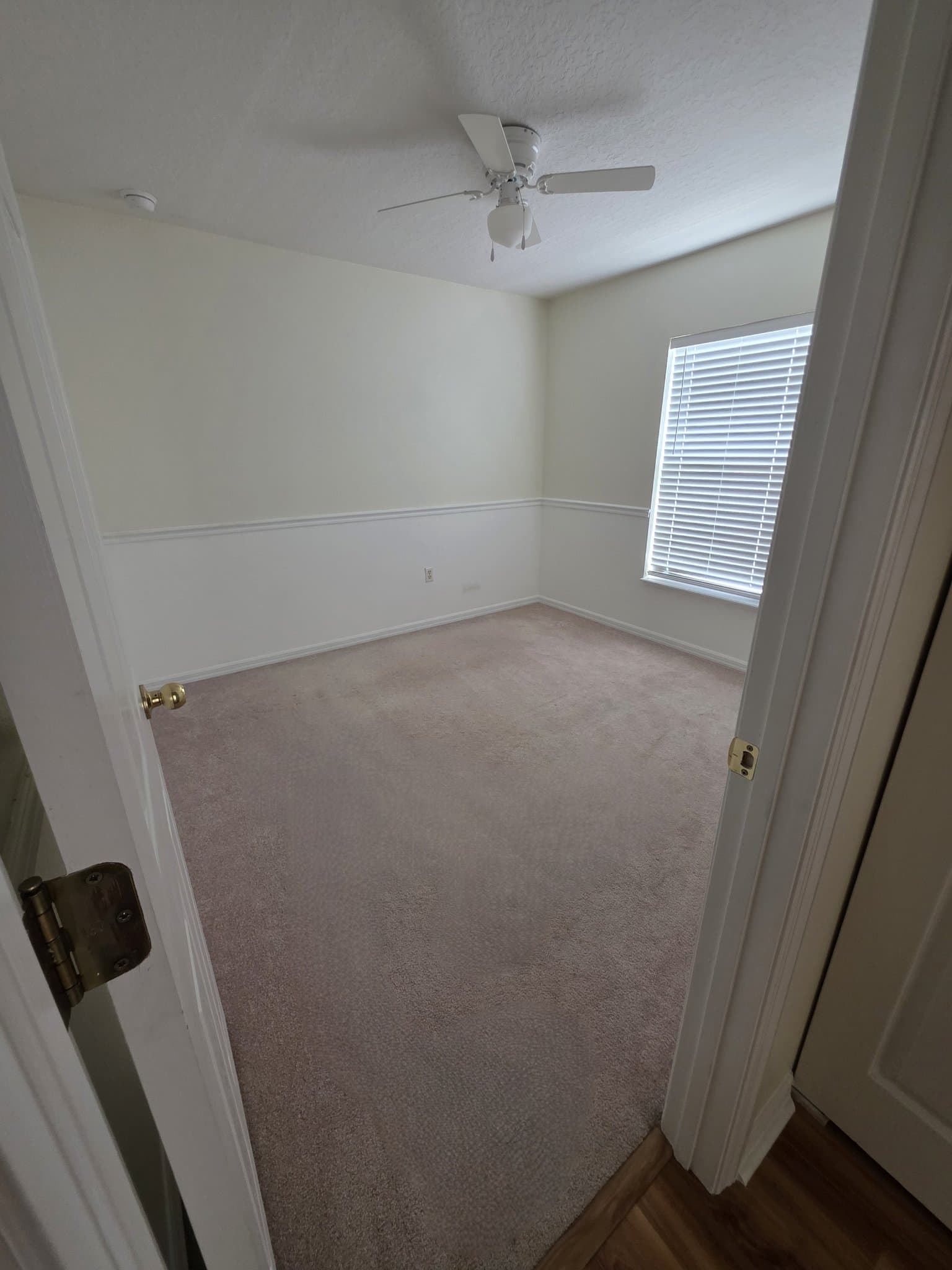 Port Orange House: 3830 Sunset Cove Dr