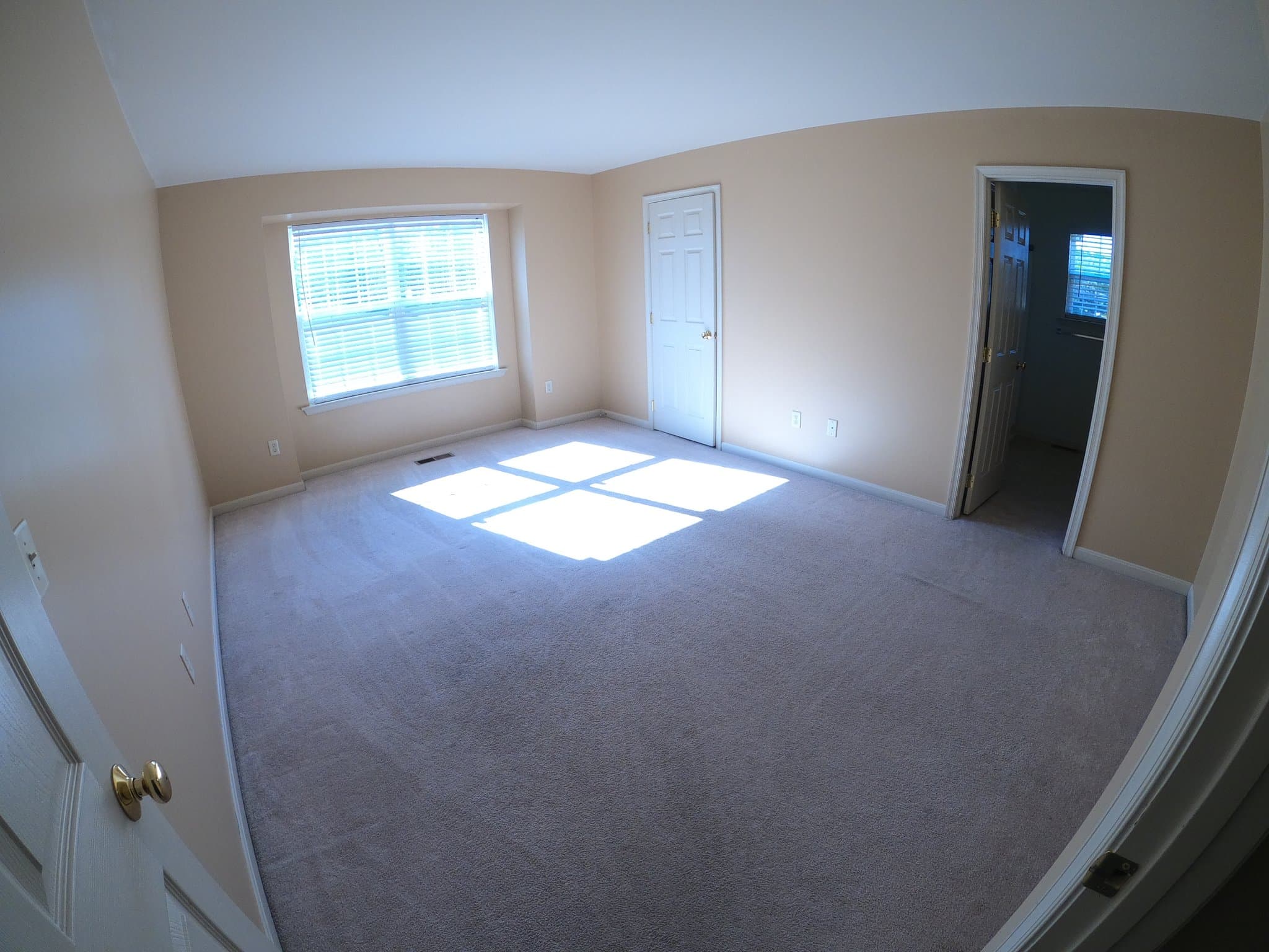 Mechanicsburg Townhome: 209 Wooley Hollow Ct