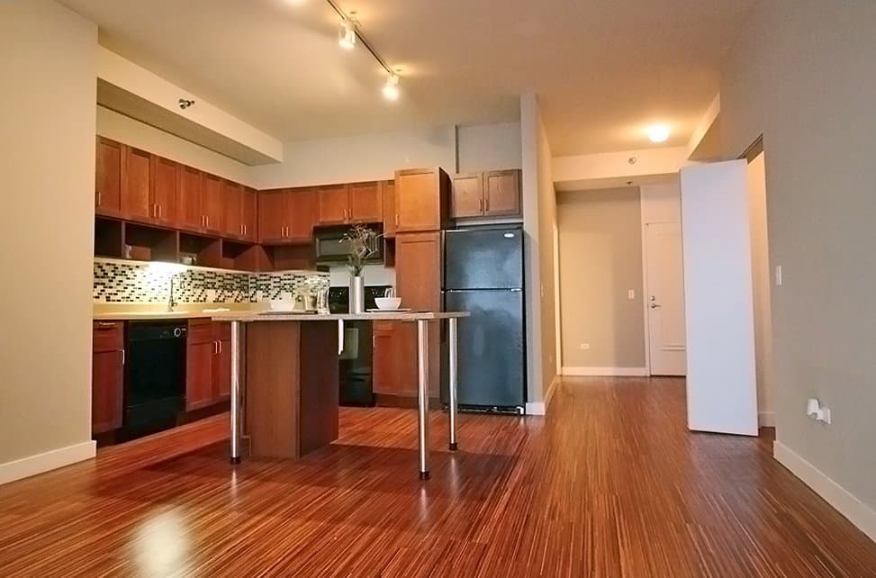 Chicago Condo: 39 East Randolph Street