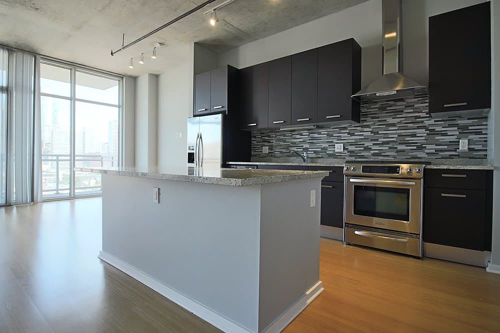 Chicago Condo: 1109 S Delano Ct
