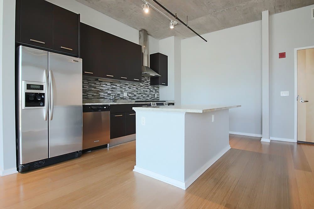 Chicago Condo: 1109 S Delano Ct