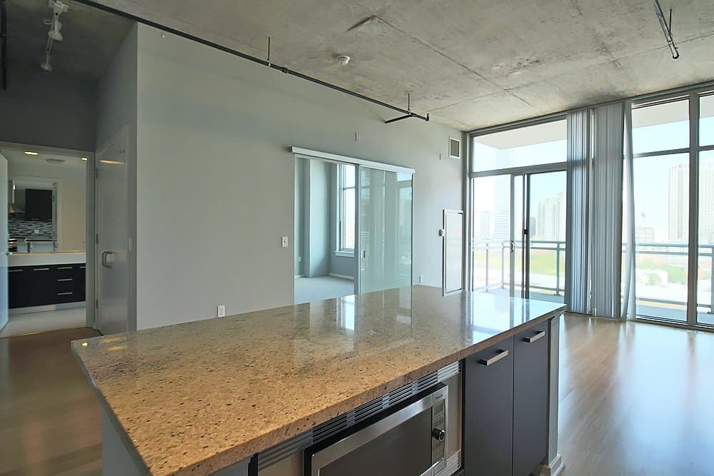 Chicago Condo: 1109 S Delano Ct