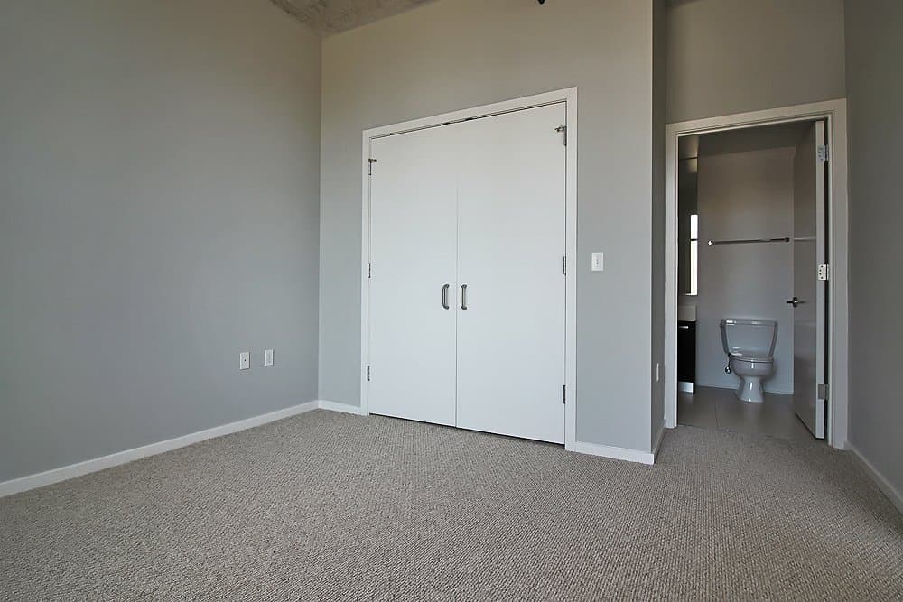 Chicago Condo: 1109 S Delano Ct