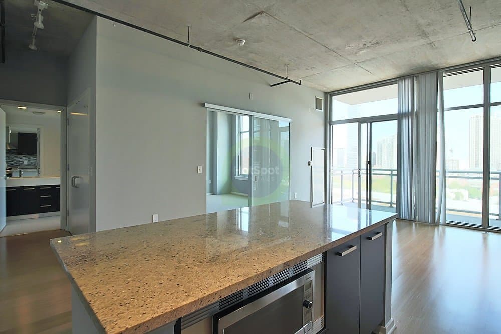 Chicago Condo: 1109 S Delano Ct
