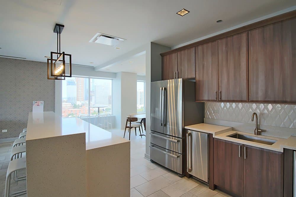 Chicago Condo: 1109 S Delano Ct