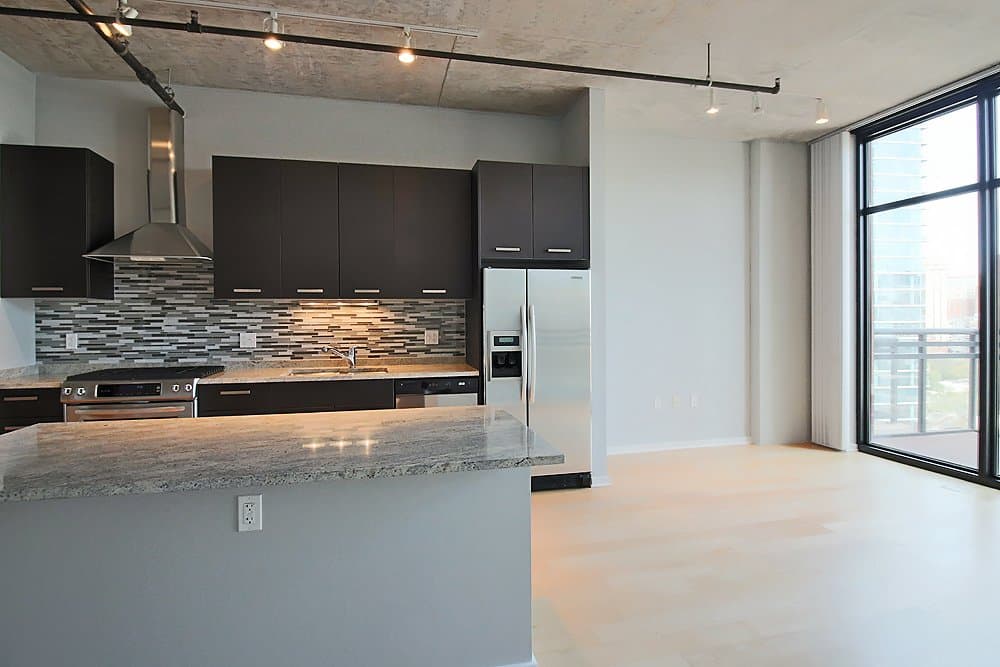 Chicago Condo: 1109 S Delano Ct