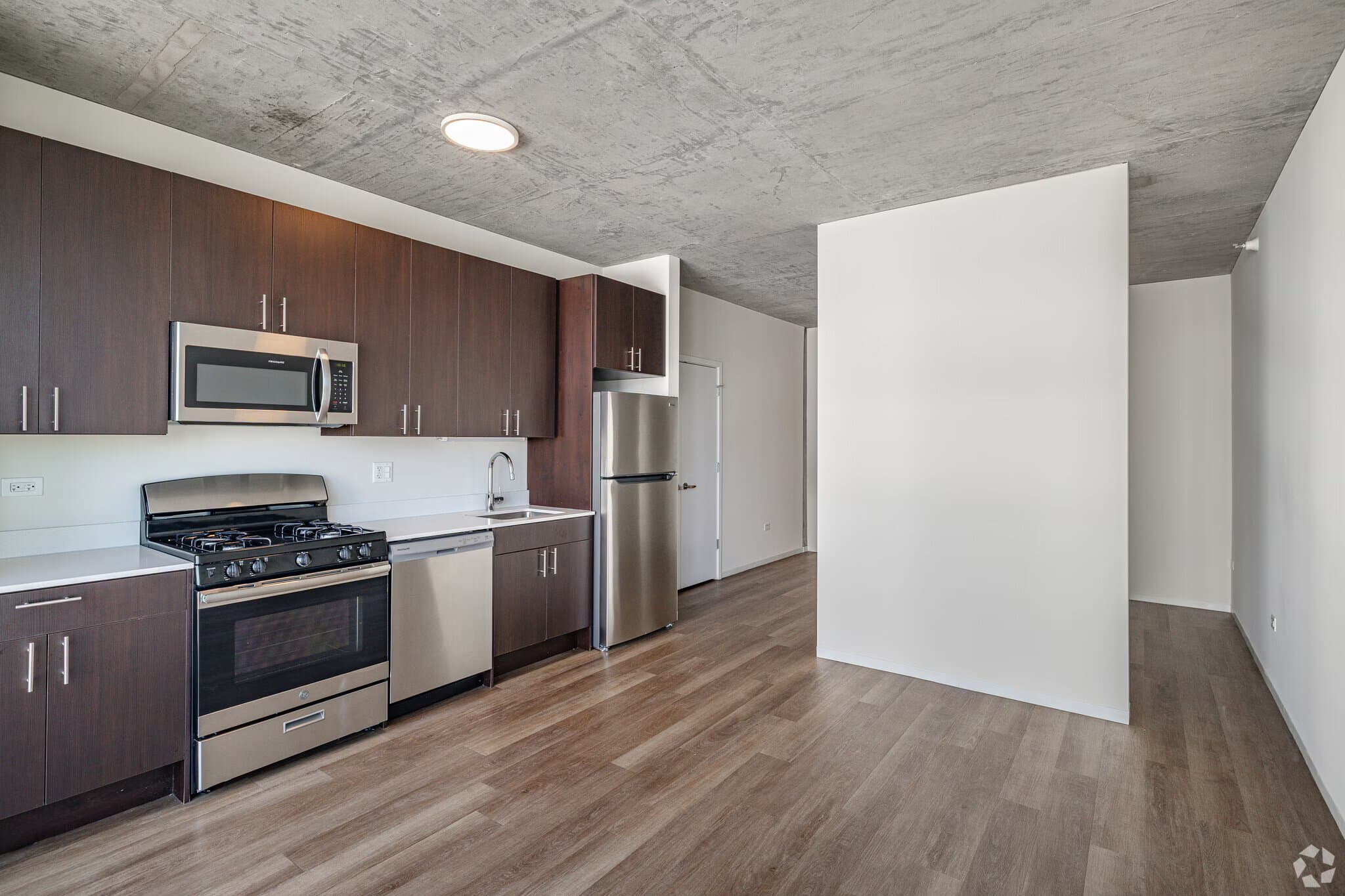 Chicago Condo: 63 E 14th St