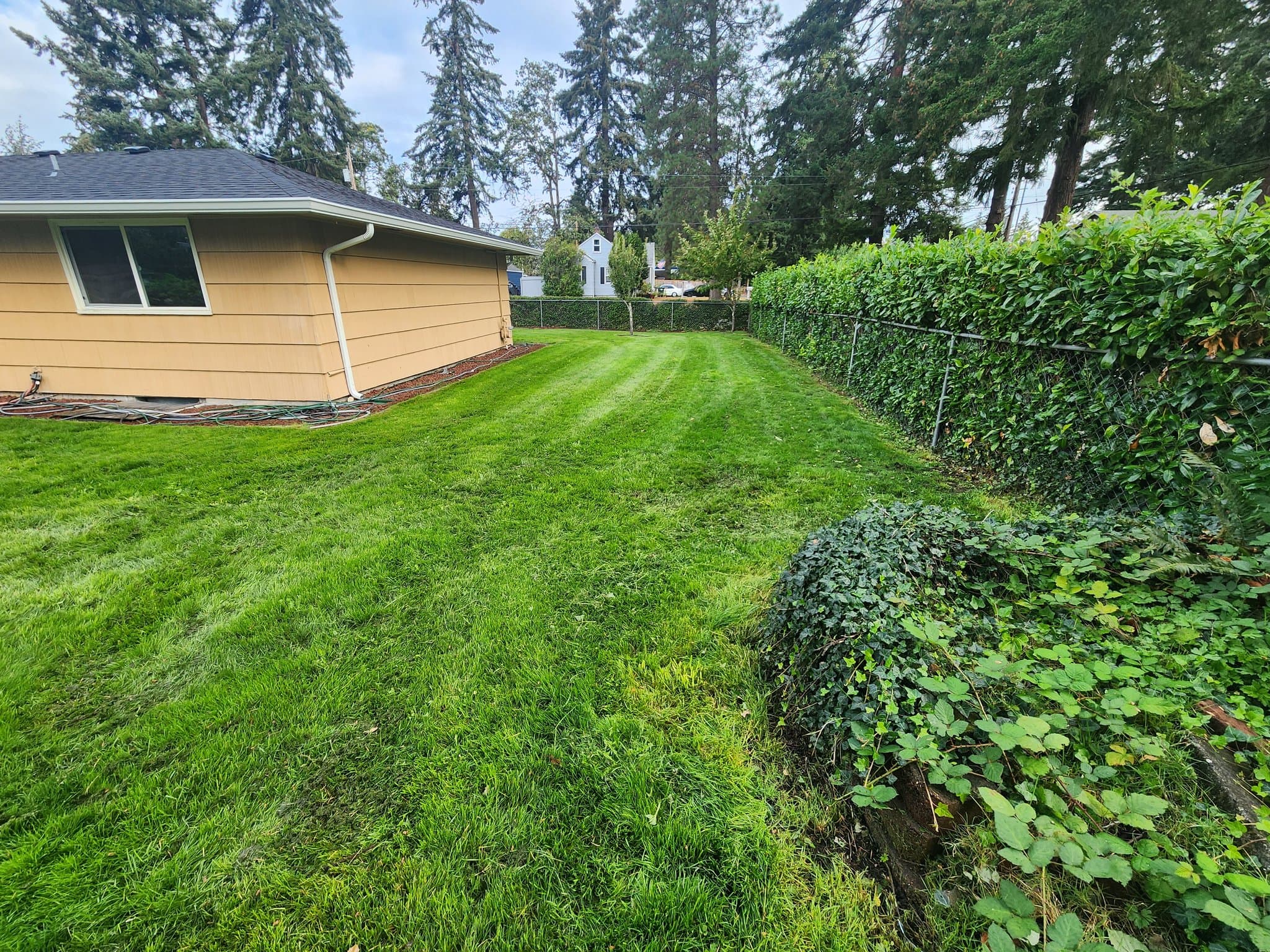 Lakewood House: 8708 Newgrove Ave SW