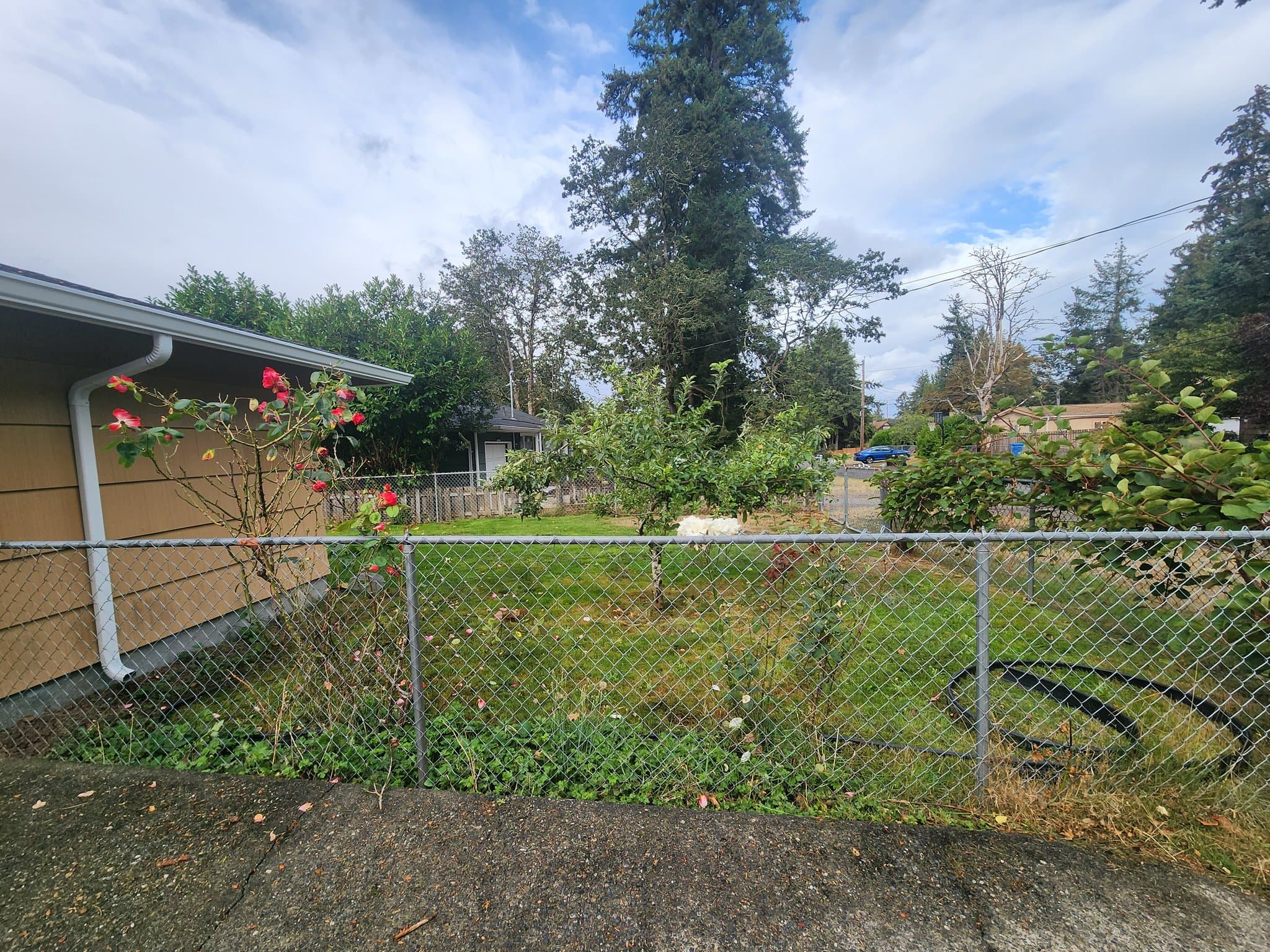 Lakewood House: 8708 Newgrove Ave SW