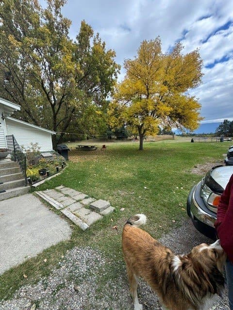 Kalispell House: 4245 Whitefish Stage Road