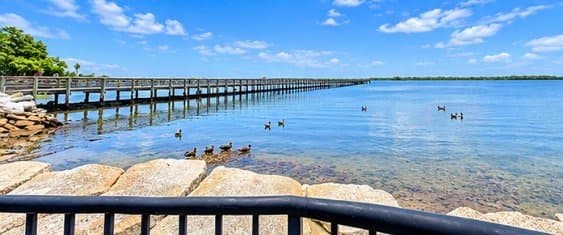Dunedin Condo: 1259 New York Ave,