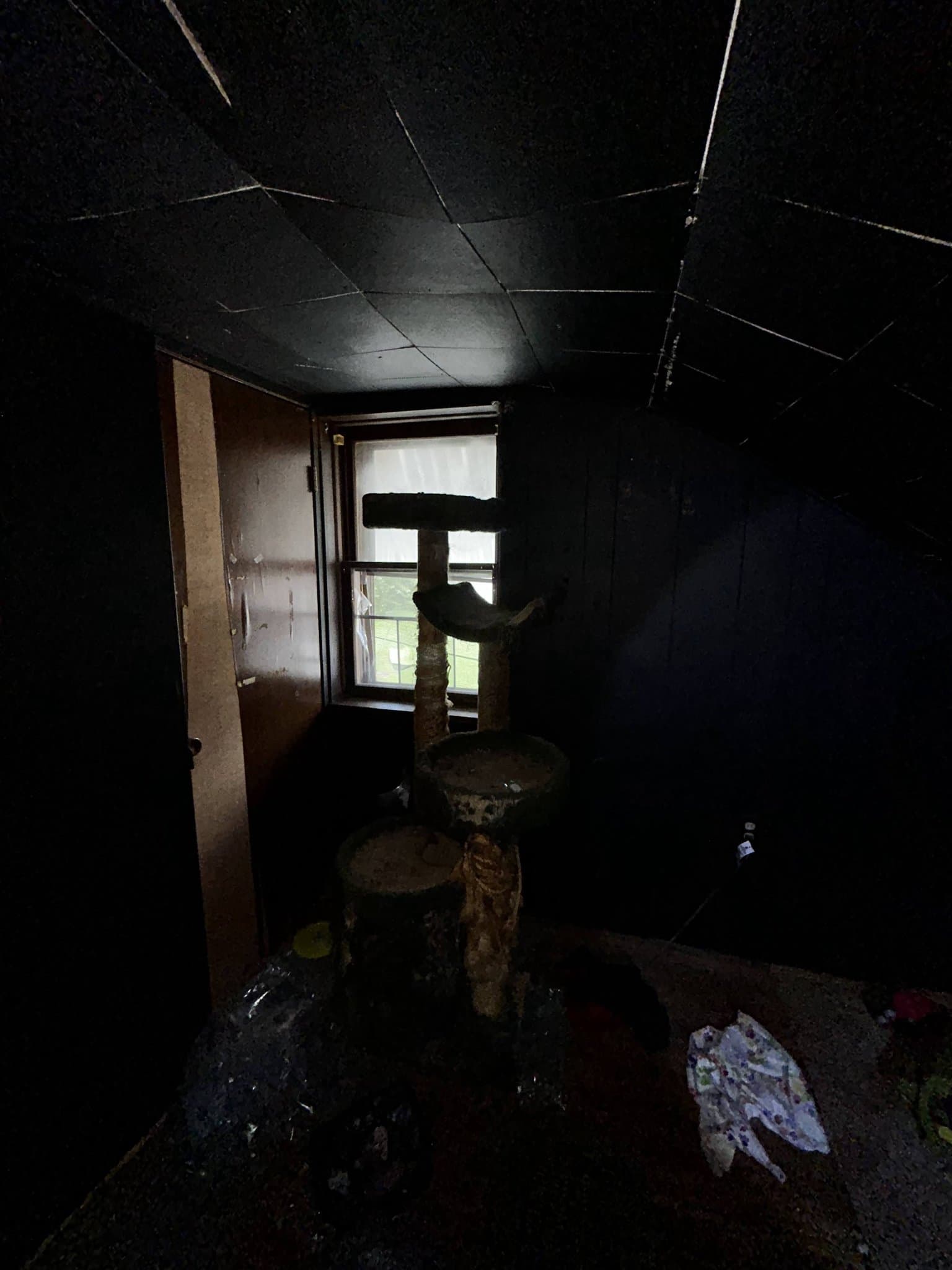Belleville House: 233 N 11th St