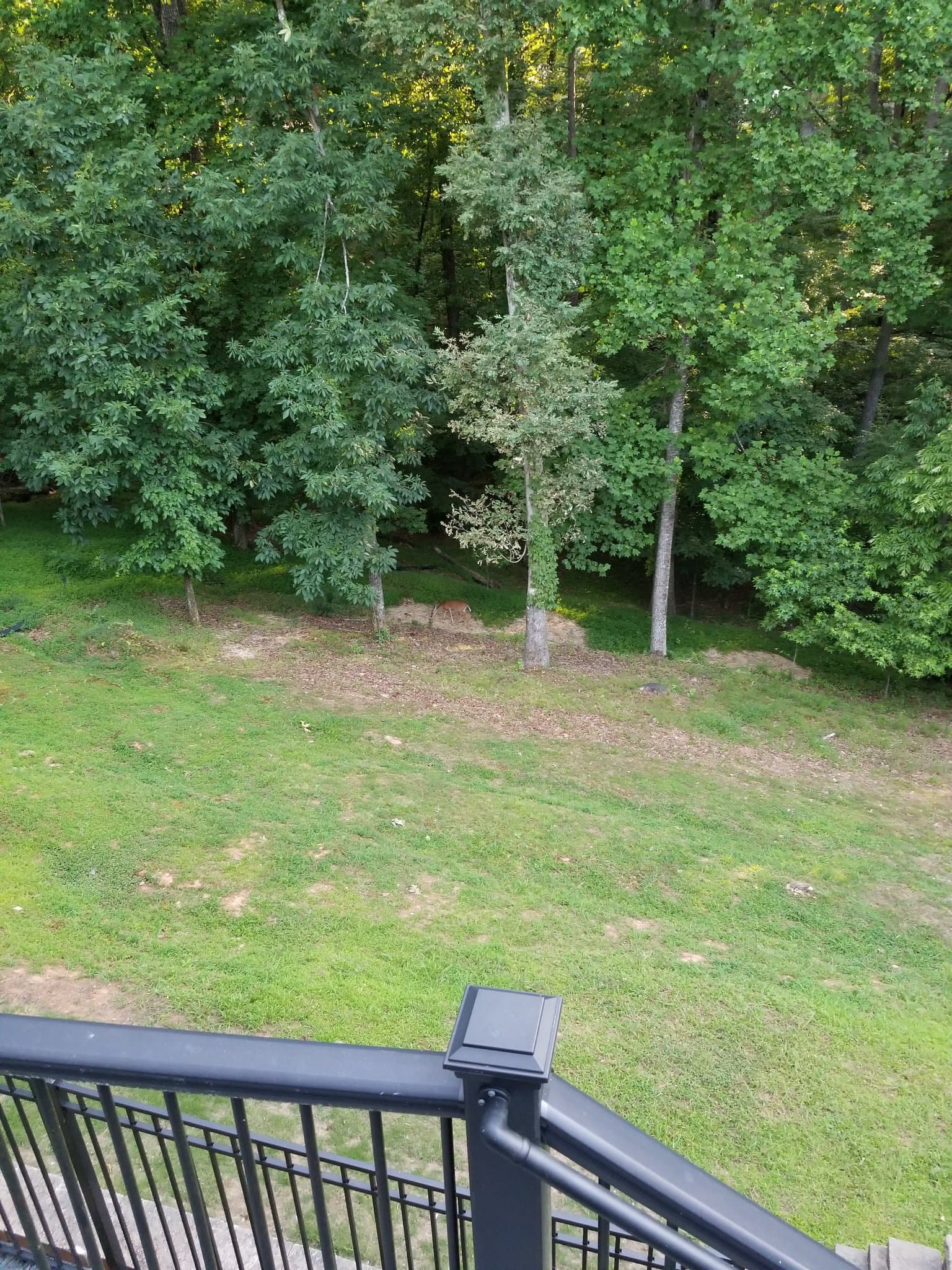 Woodstock Condo: 403 Cottonwood Dr